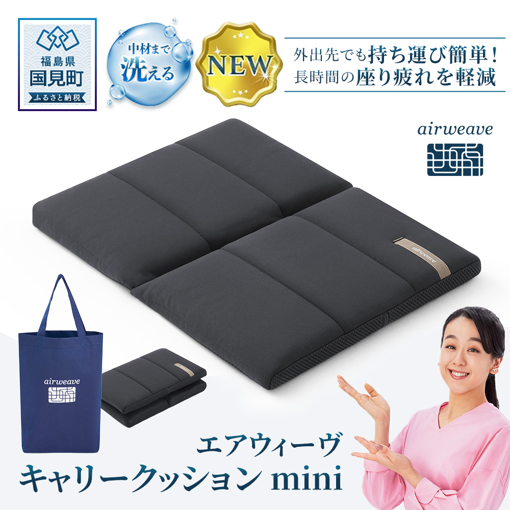 エアウィーヴ キャリークッションmini | airweave おすすめ